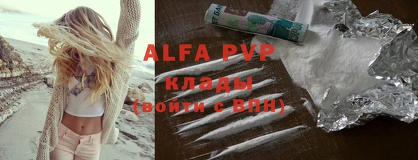 крисы Слюдянка